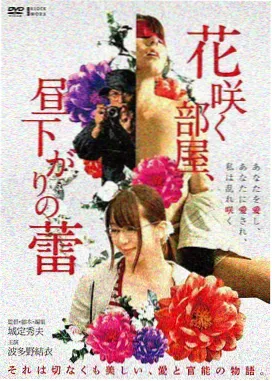 北纬三十度 热播剧集高清播放